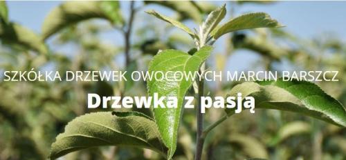 Logo firmy Szkółka Drzewek Owocowych Marcin Barszcz