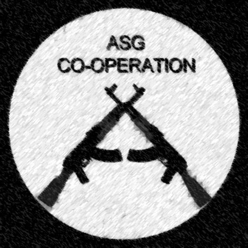 Logo firmy ASG Co-operation