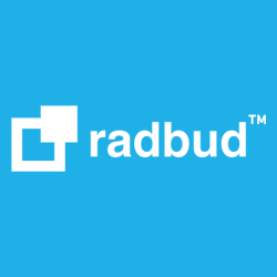 Logo firmy P.H.U. RADBUD