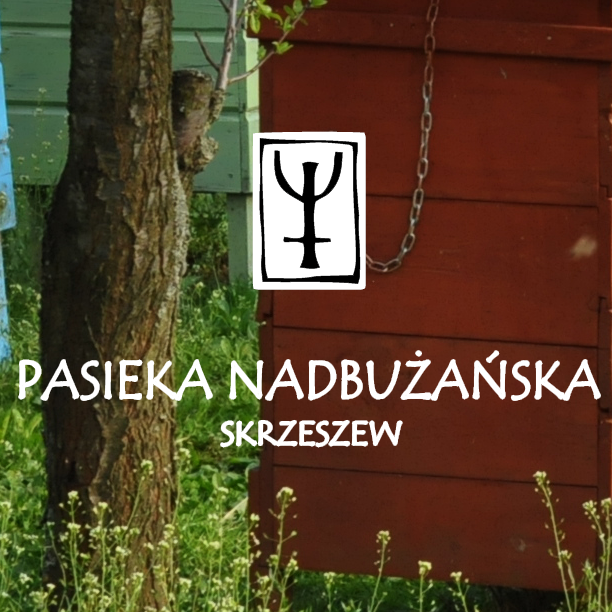 Logo firmy Pasieka Nadbużańska